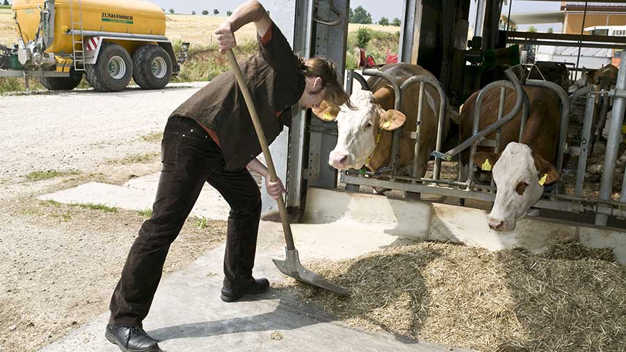Farmer feeding cattle © Sonja-Krebs/imageBROKER/REX/Shutterstock