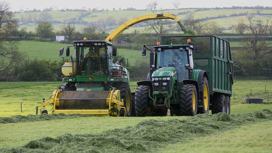 Forage harvester in Leicestershire