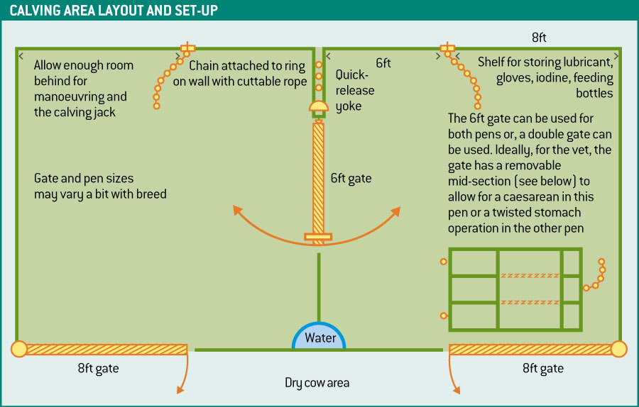 A diagram showing calving setup