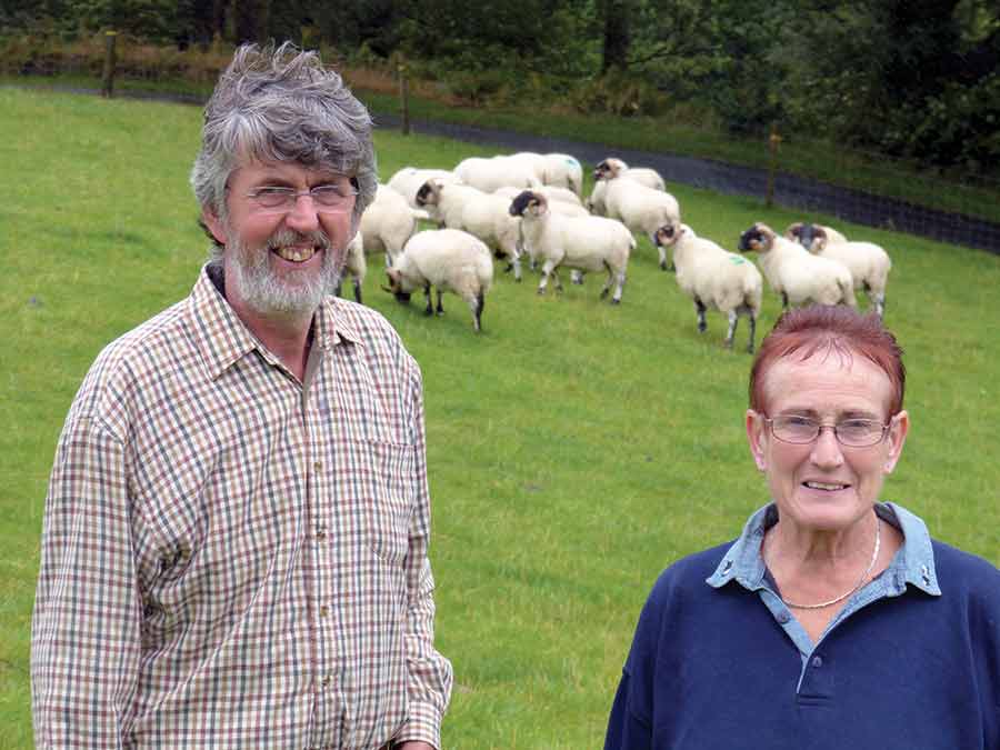 Bobby and Anne Lennox  in a field with sheep