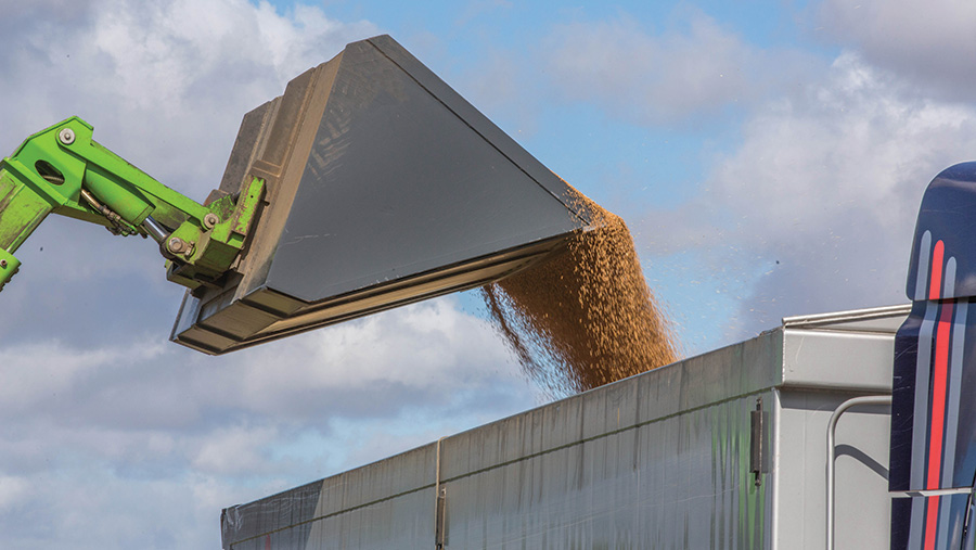 Grain being loaded on to a lorry