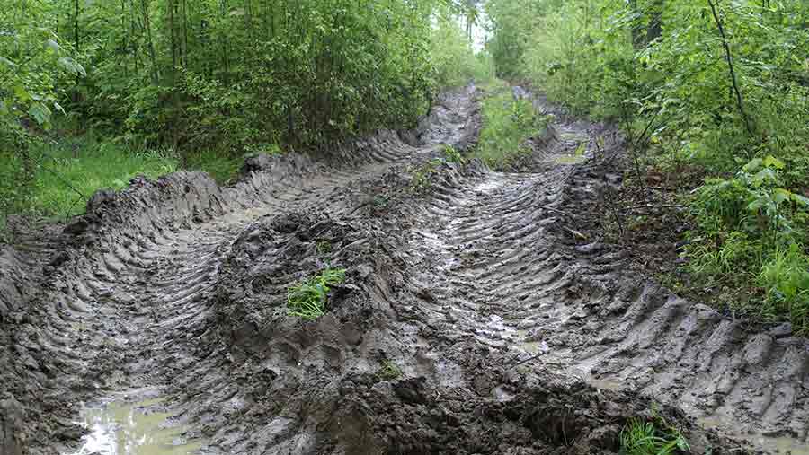 Muddy track © FLPA/David Warren/REX/Shutterstock