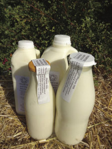 Bottles of milk from North Aston Dairy
