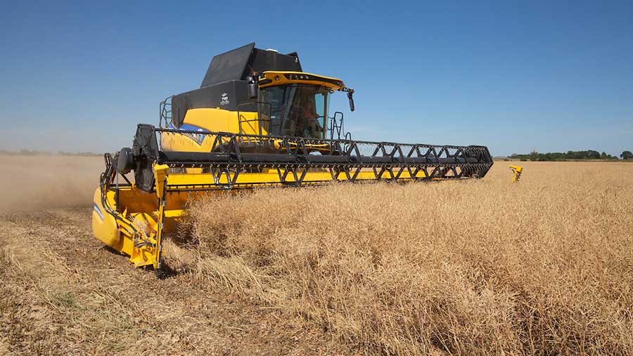 Oilseed rape being harvested