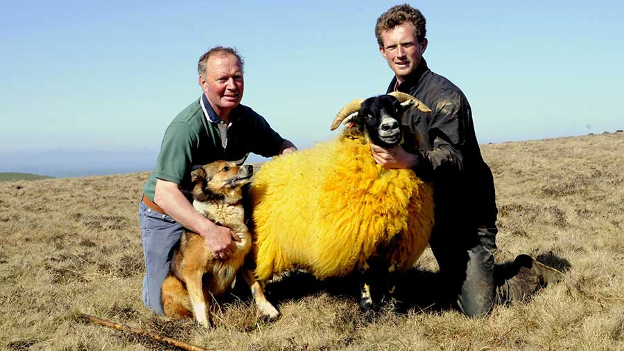 Sheep rustler deterrent