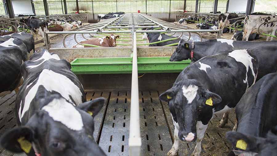 Inside a new £2.3m state-of-the-art dairy - Farmers Weekly
