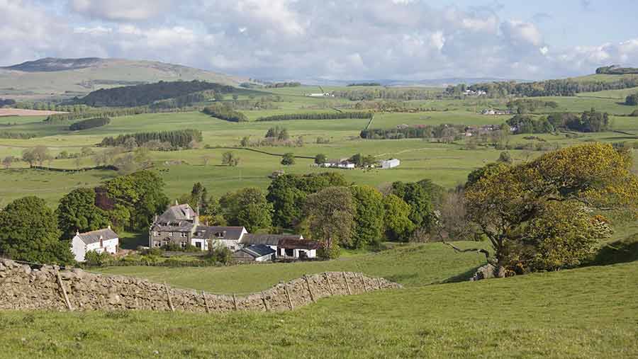 scotland farm scene