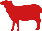 Red sheep icon