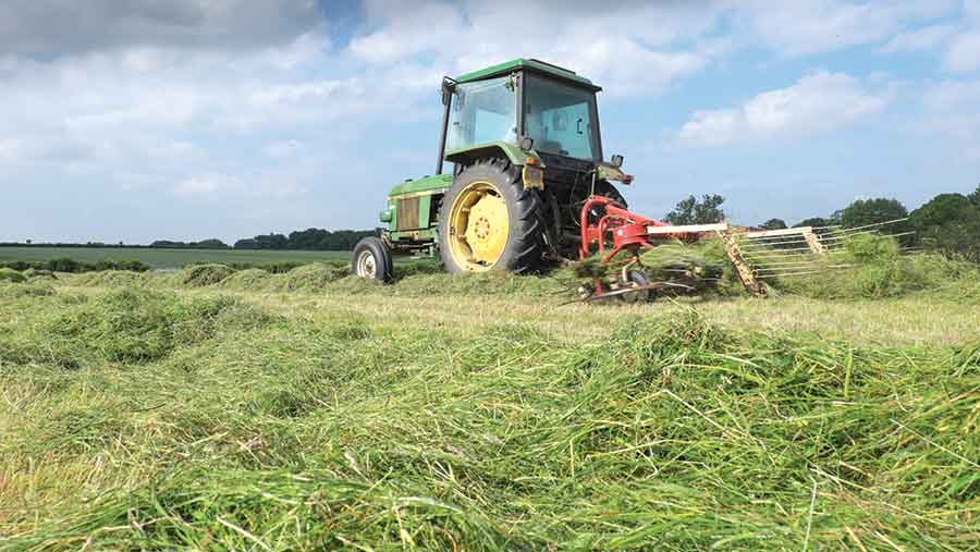 silage c-Tim-Scrivener