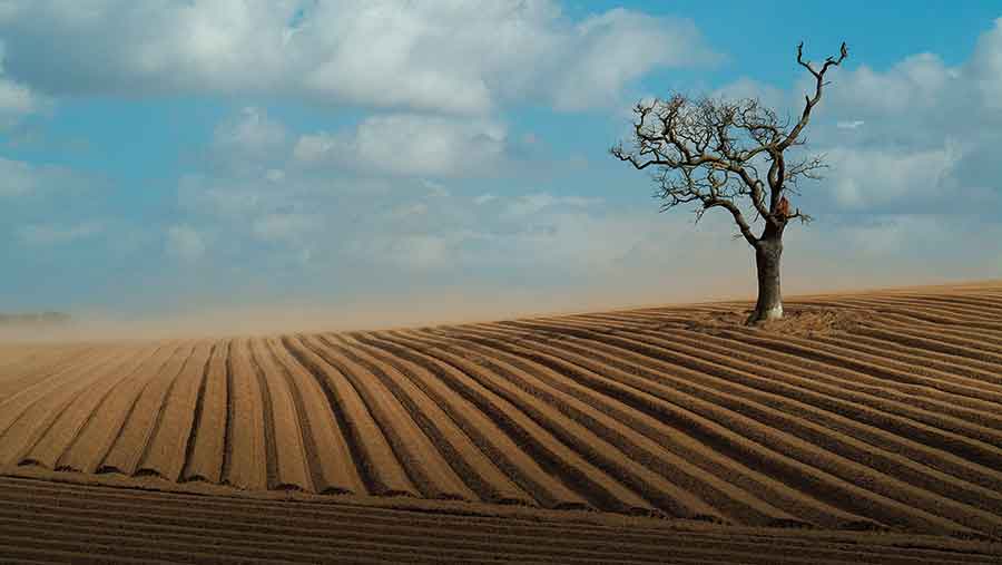 soil erosion