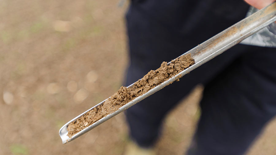Taking a soil sample