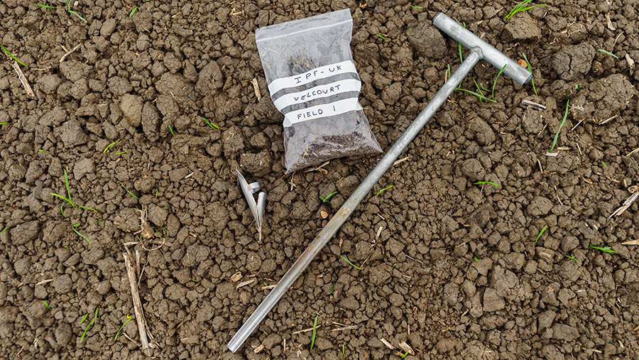 Bag of soil and sampling auger