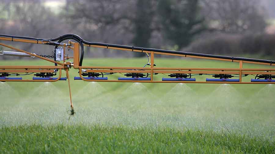 spraying wheat in autumn