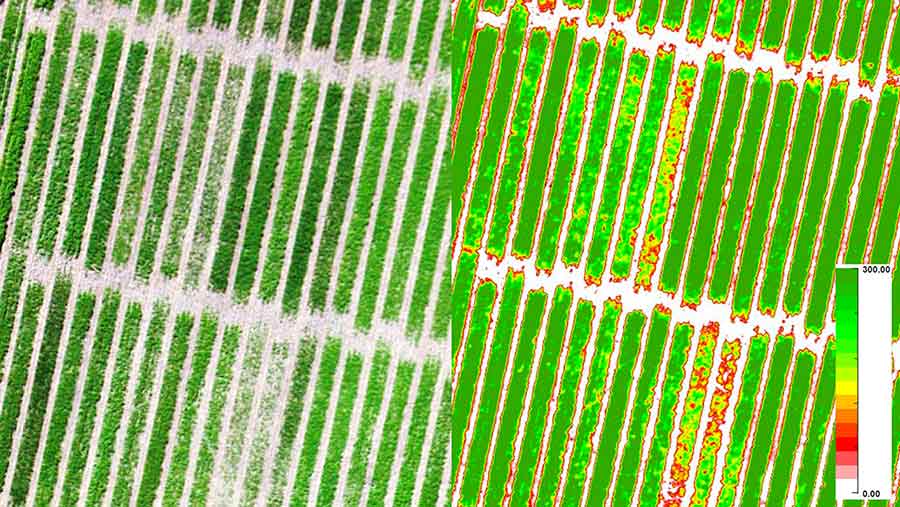 Screen grab from the Precision Hawk app measuring nitrogen