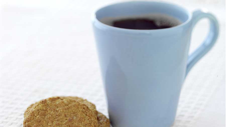 tea and biscuits
