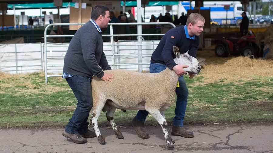 tup handling