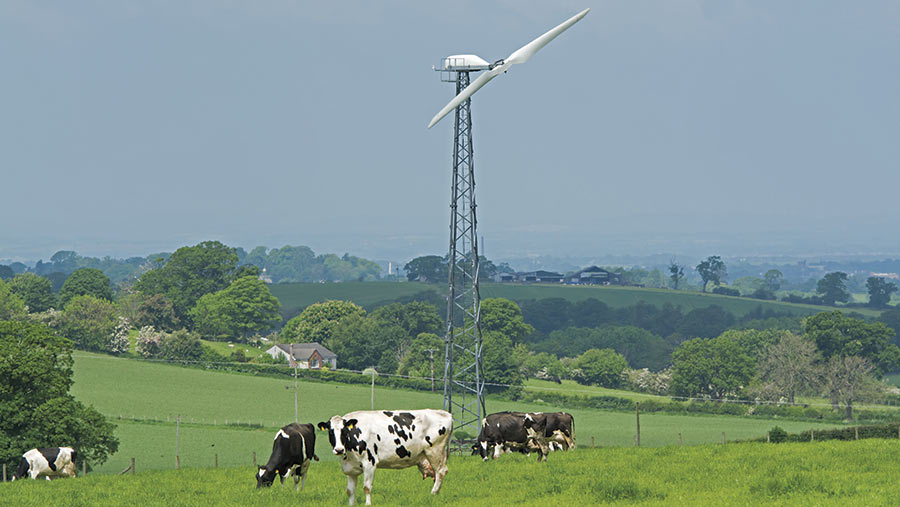 Wind turbine in a field with cattle