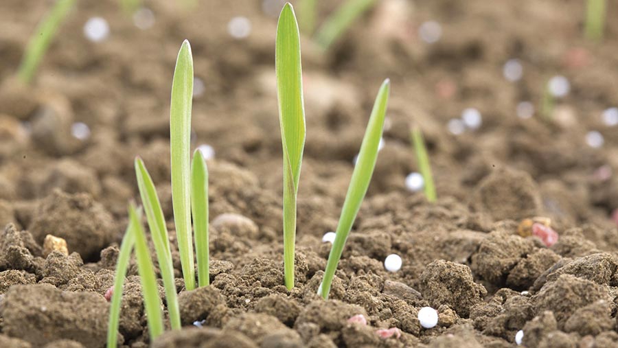 fertiliser on soil