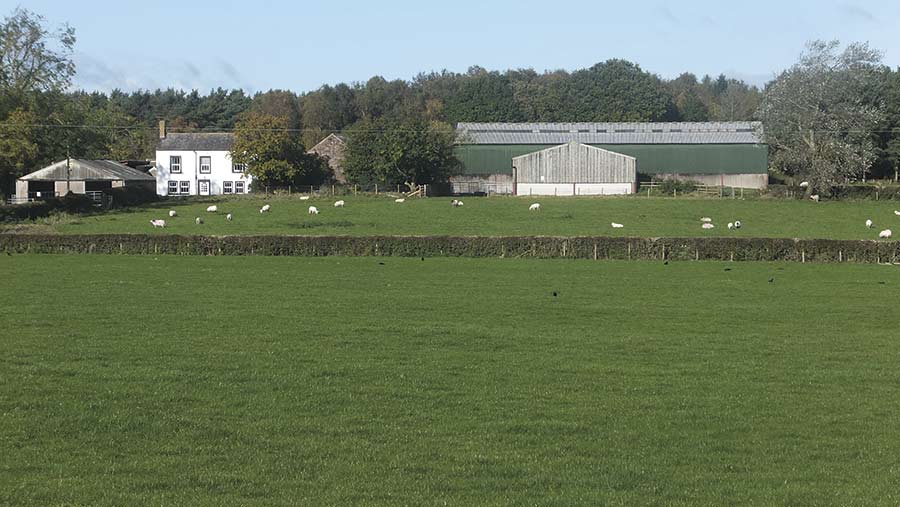 Beaconhill Farm