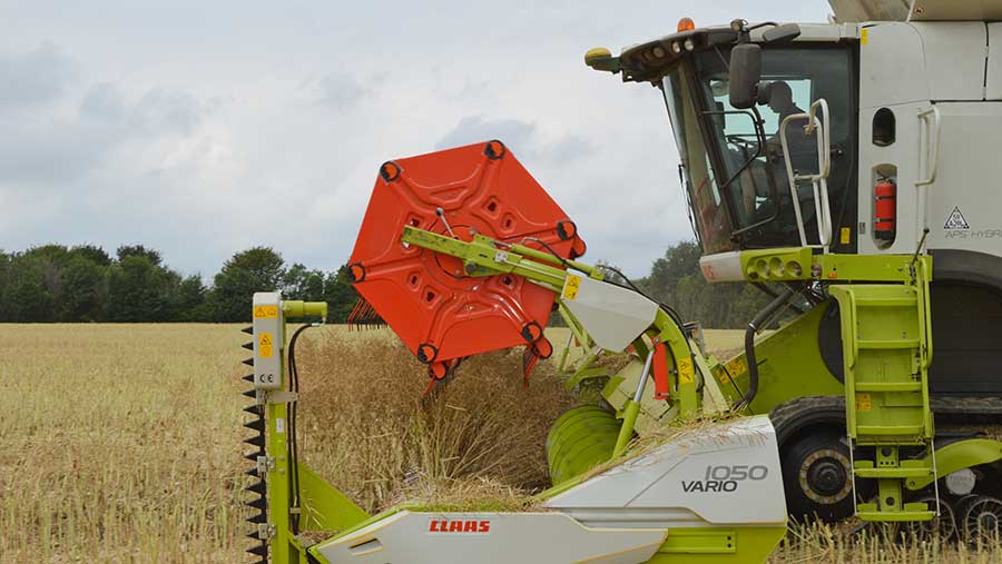 oilseed rape harvest