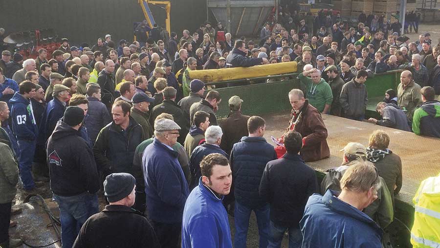 Crowd at farm auction