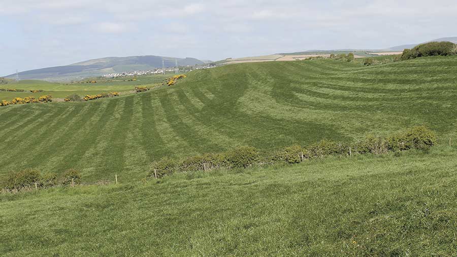 Town Head Farm