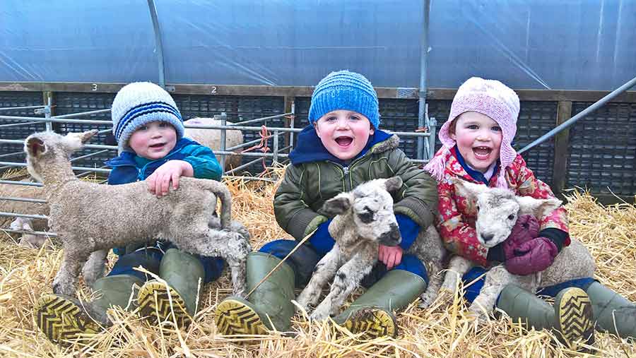 Three children sit in a field each holding a lamb