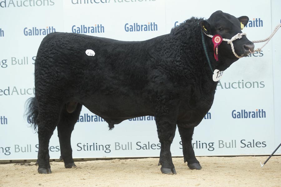 Lot 159: Ellin Ergo. © Tim Scrivener