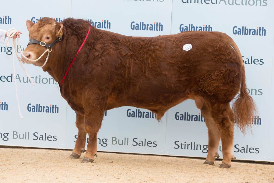Creran Mourinho brought a 10,000gns bid for Ewen MacGillivray on his first trip as a vendor to Stirling. © Tim Scrivener