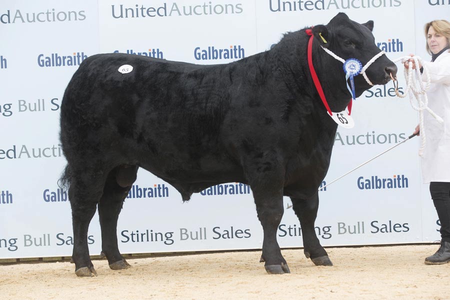 Lot 65: Devon Eldon. ©  Tim Scrivener