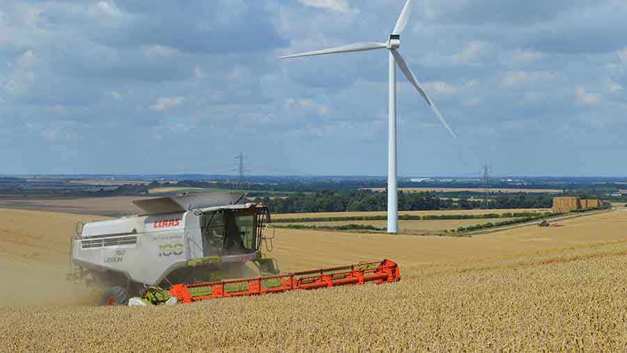 wheat harvest