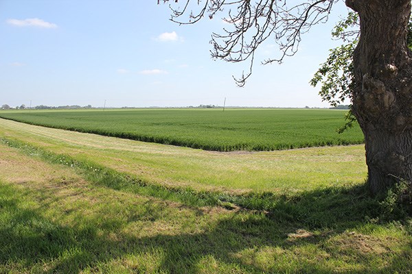 An Outstanding Well Equipped Grade 2 Arable Farm Property