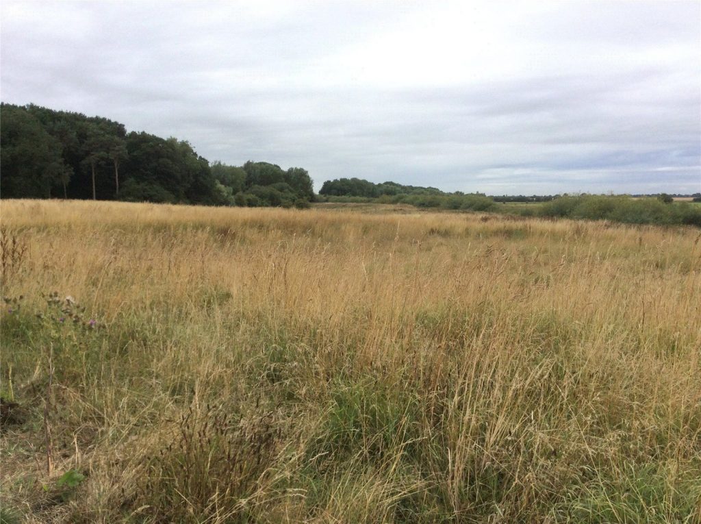 Lot 1 Land At Bubwith, Bubwith, Selby, North Yorkshire, YO8 6LL Property