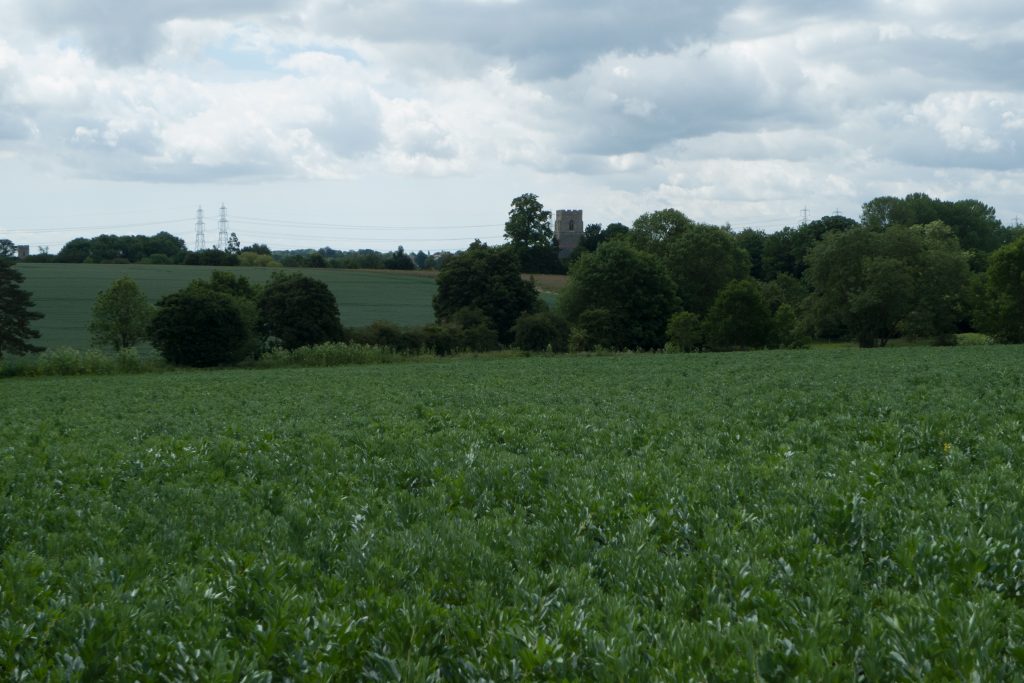 Land for Sale, Clopton Near Woodbridge Property