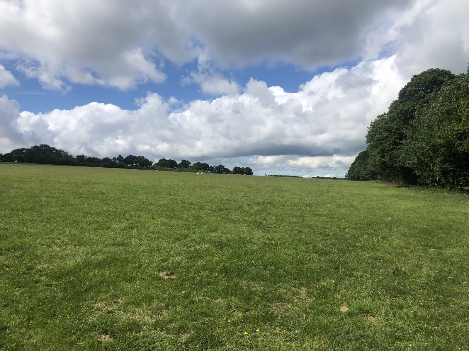 Grove Hill, Hellingly, Hailsham, East Sussex, BN27 4HF Property