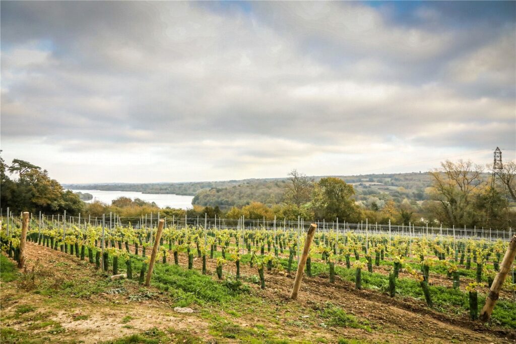 Kingscote, East Grinstead, West Sussex, RH19 4LG Property