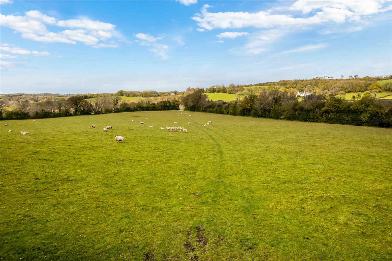 Addiscott, South Tawton, Okehampton, Devon, EX20 2RE Property