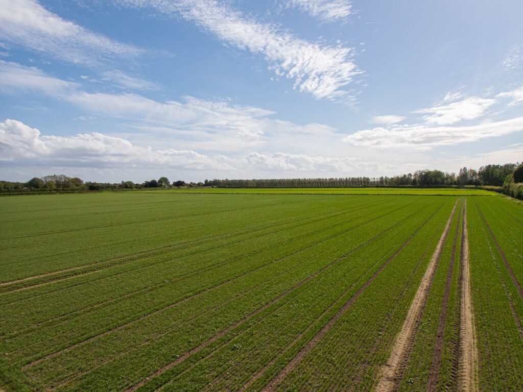 Liverpool Road, Tarleton, Preston Property