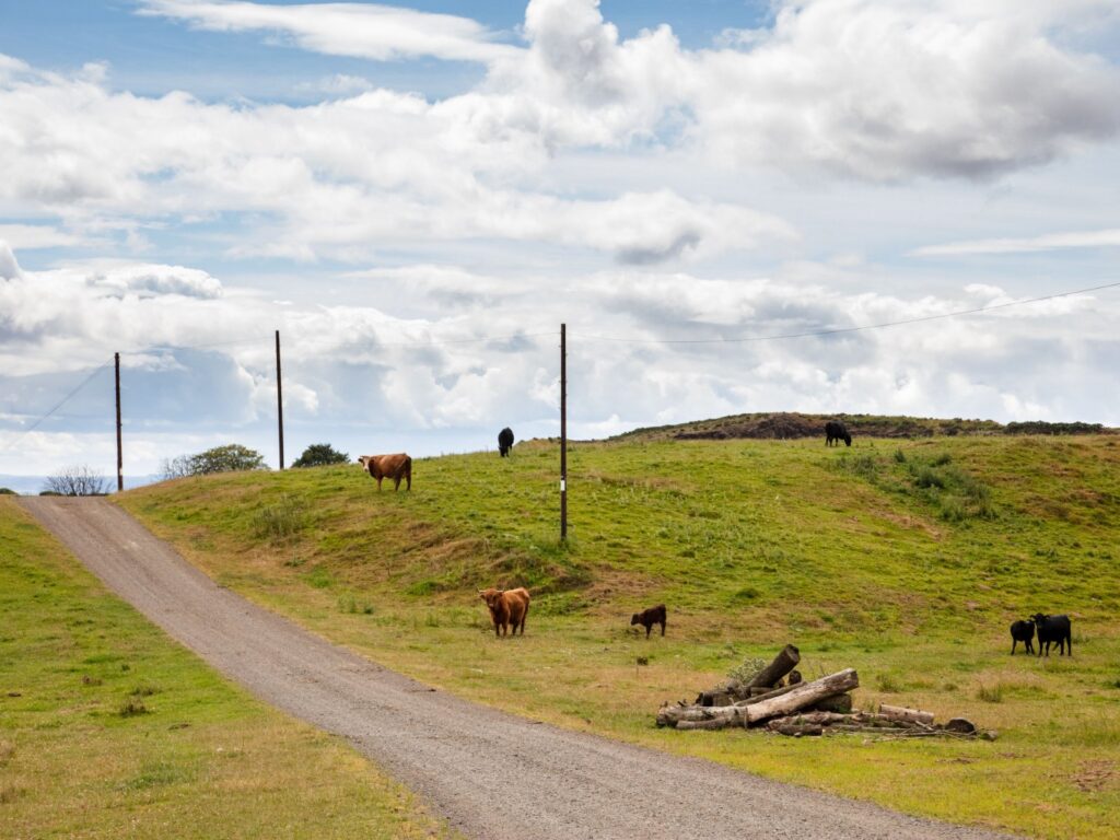 Dunfermline, Fife Property