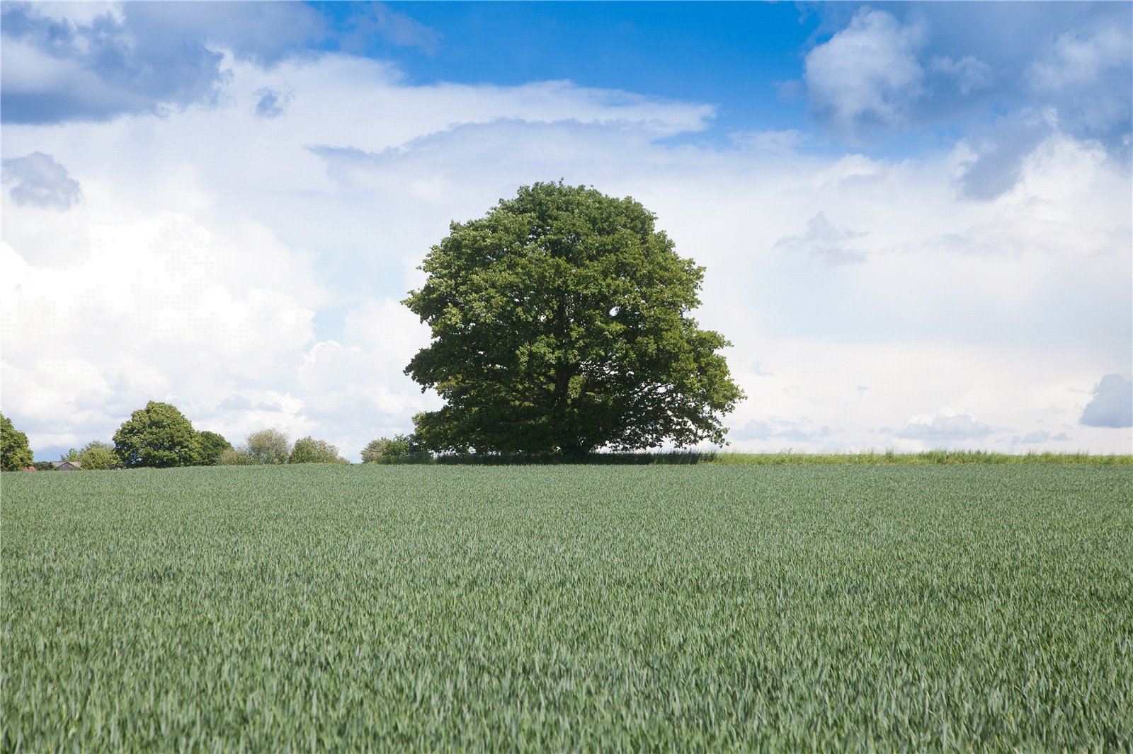 Hay Place Lane, Binsted, Alton, Hampshire, GU34 4PE Property