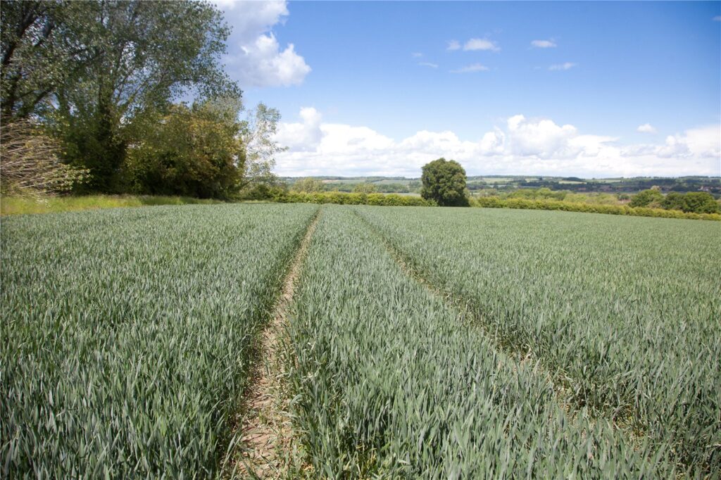 Hay Place Lane, Binsted, Alton, Hampshire, GU34 4PE Property