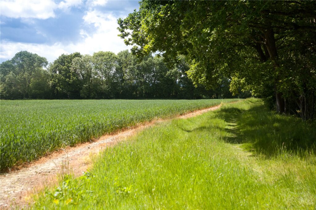 Hay Place Lane, Binsted, Alton, Hampshire, GU34 4PE Property