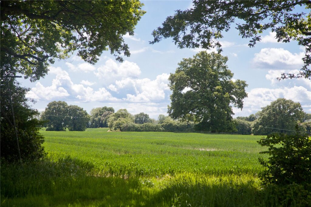 Hay Place Lane, Binsted, Alton, Hampshire, GU34 4PE Property