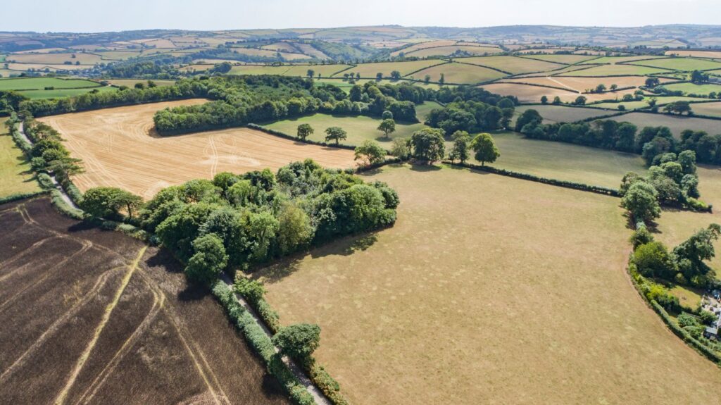 Totnes, Devon Property