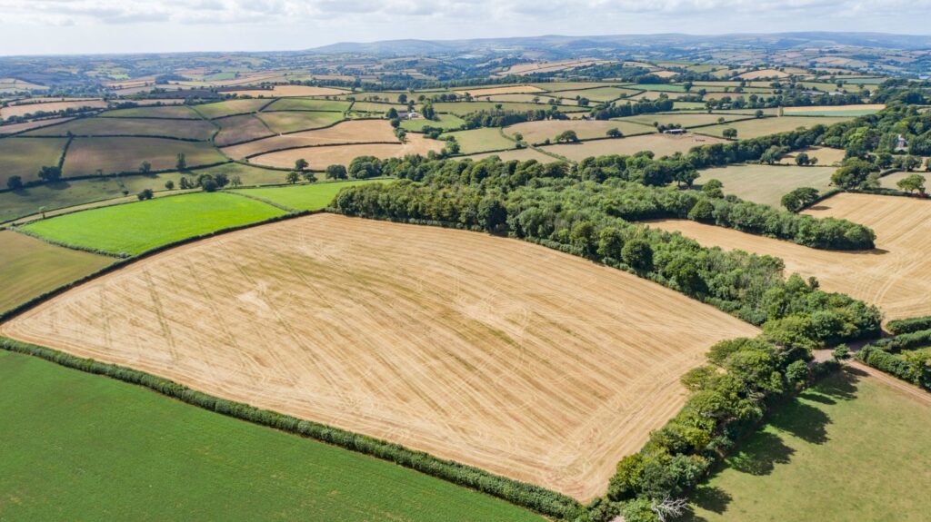 Totnes, Devon Property