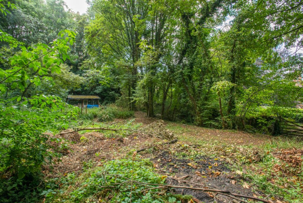 Totnes, Devon Property