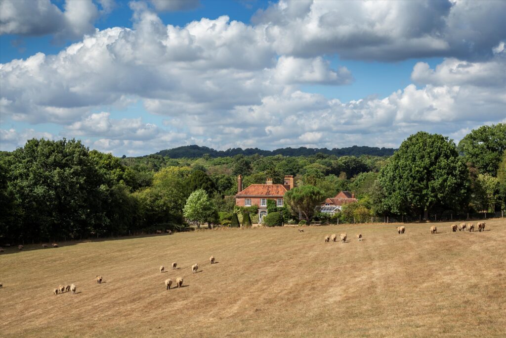 Vann Lane, Chiddingfold, Godalming, Surrey, GU8 Property