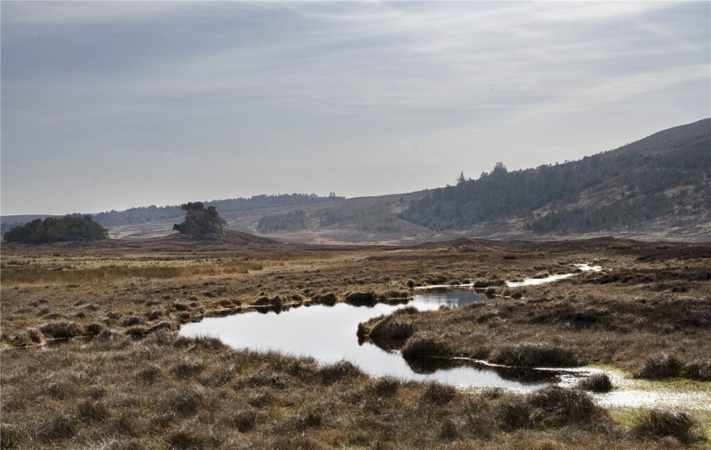 Sandside Hill and Harbour, Reay, Thurso, Caithness, KW14 7RN Property