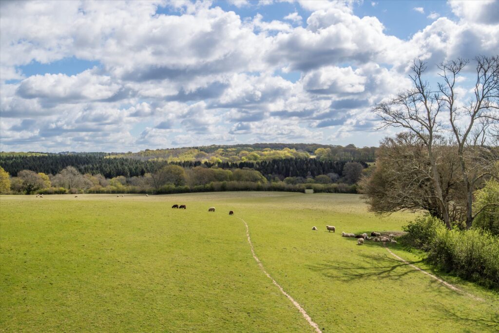 Cowbeech Road, Rushlake Green, Heathfield, East Sussex, TN21 Property