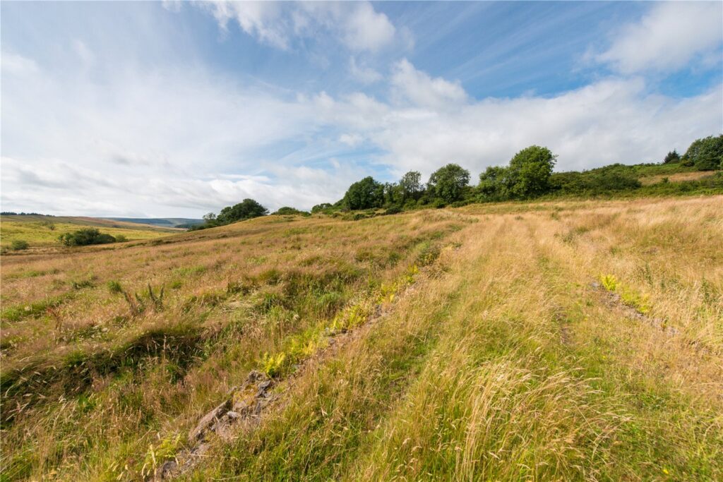 Land at Borland, Gartmore, Stirling, Stirlingshire, FK8 3RY Property